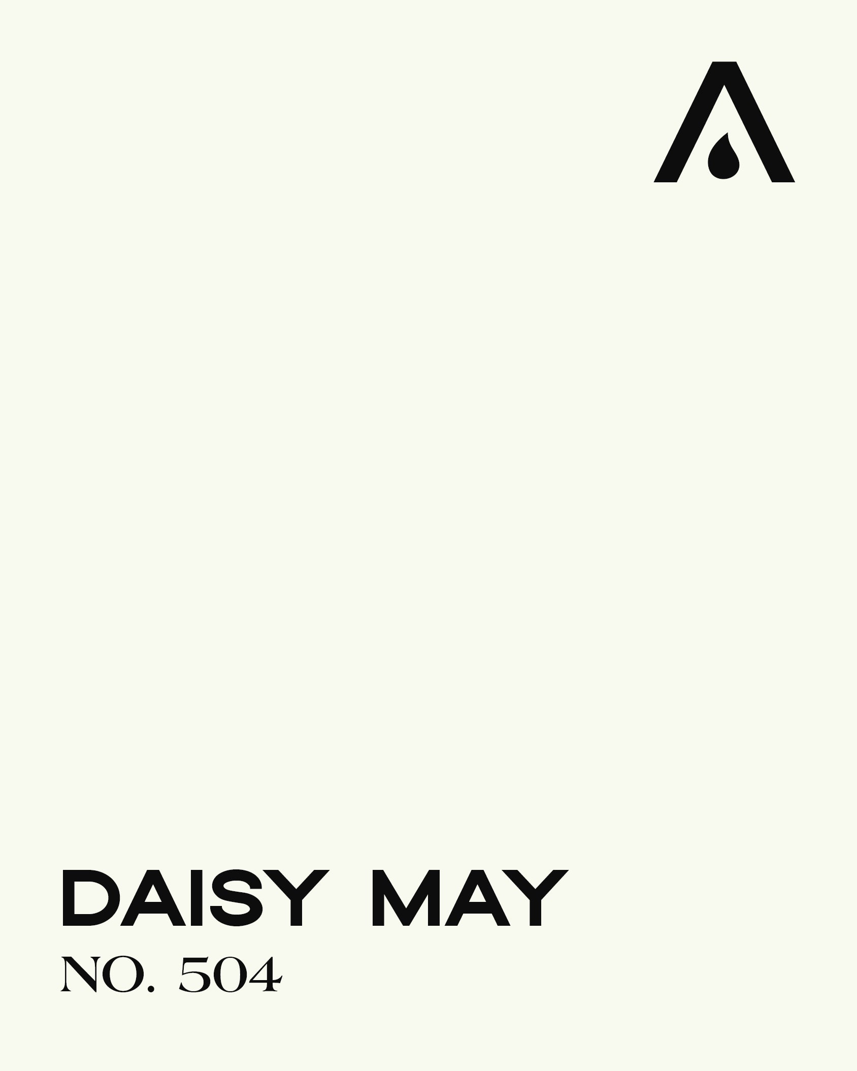 Daisy May no. 504