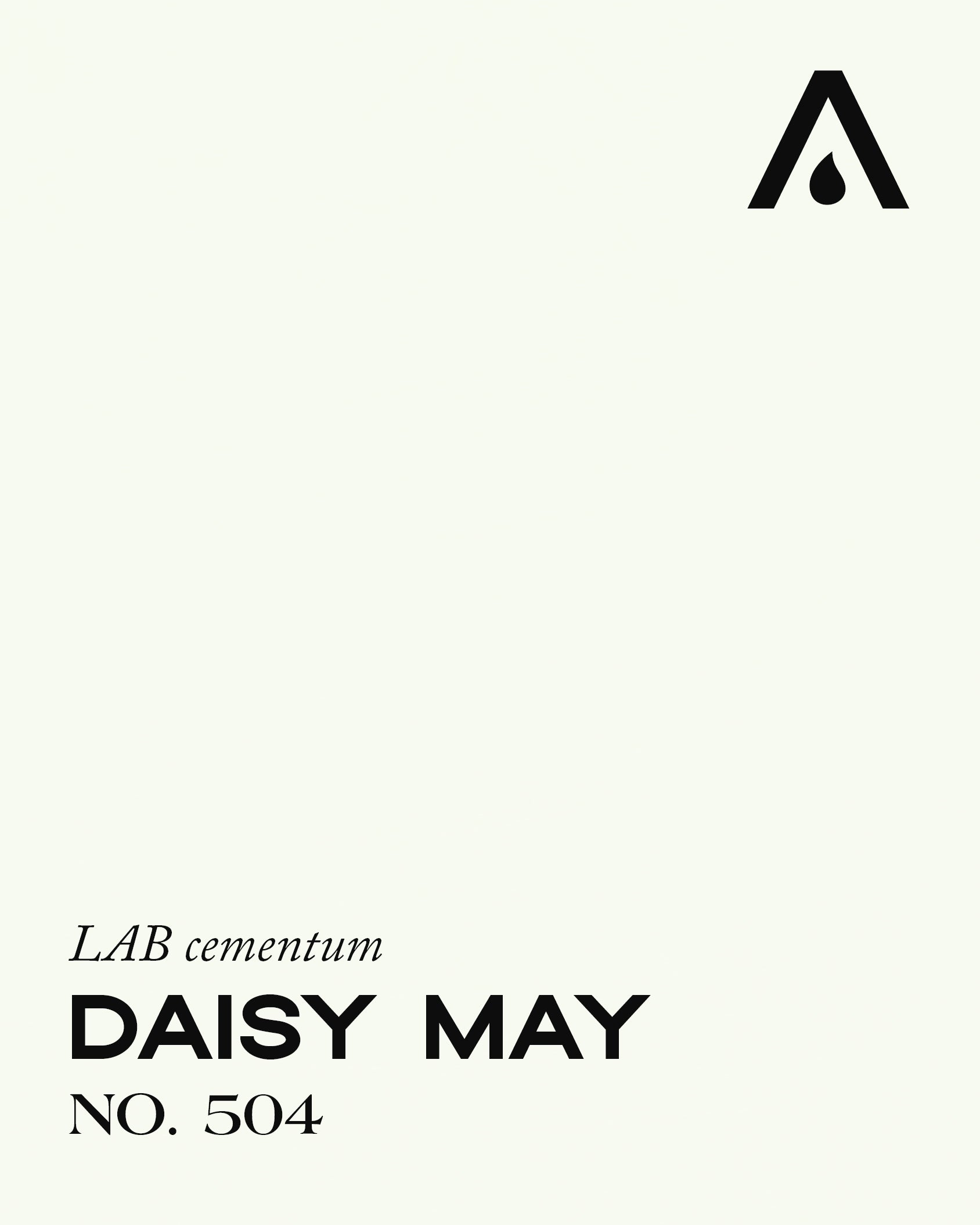 Daisy May no. 504