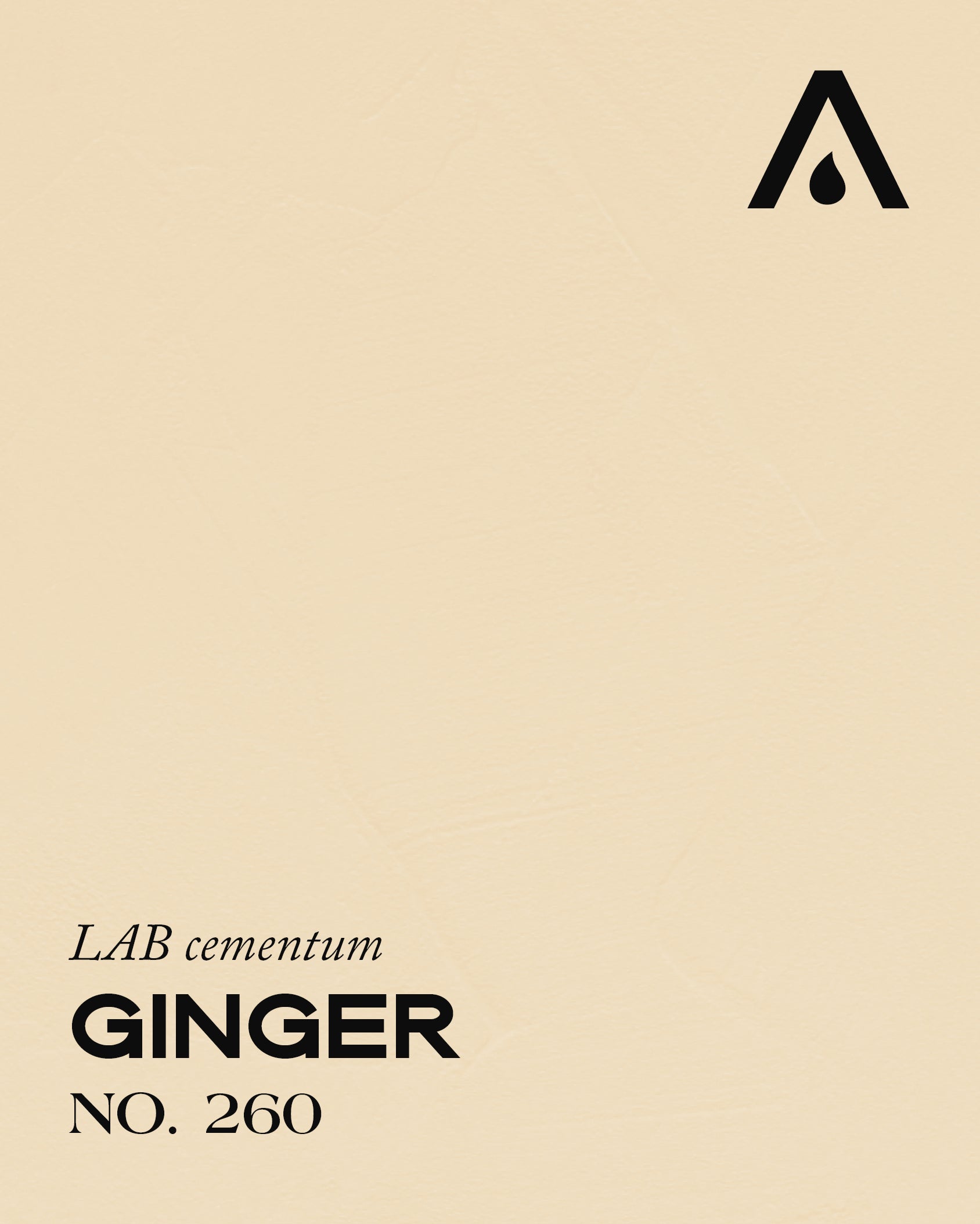 Ginger no. 260